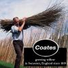 imagePH Coate Artist Willow Charcoal Medium 25 Sticks BlackMedium