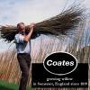 imagePH Coate Artist Willow Charcoal Medium 25 Sticks BlackScene Painters Assorted