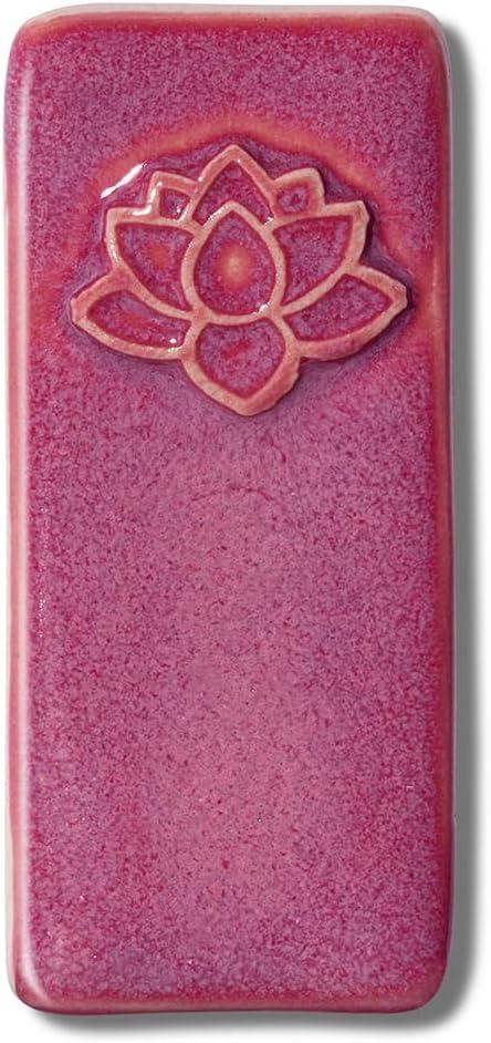 imageSpeedball MidFire Glaze 4Ounce Sample Set Assorted Colors 12 4Ounce Jars for Pottery and CeramicsRaspberry Fizz